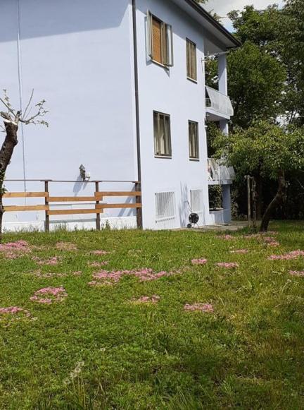Ferienwohnung Grappaland Crespano del Grappa Exterior foto